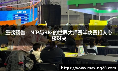 ng南宫28官方网站