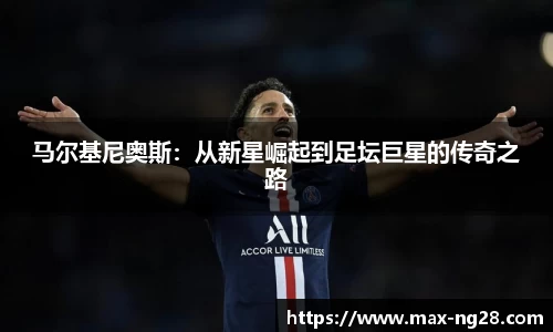 ng南宫28官网